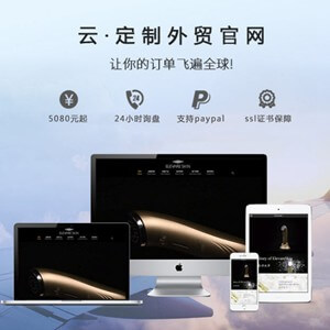 修文定制外贸网站开发